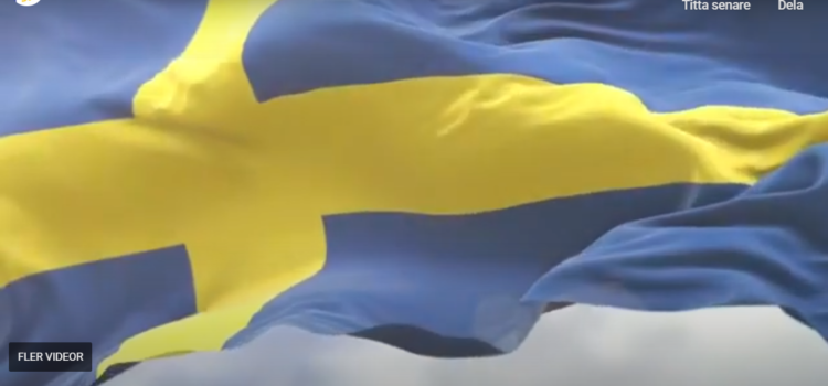 Nationaldag med Framåt Sverige